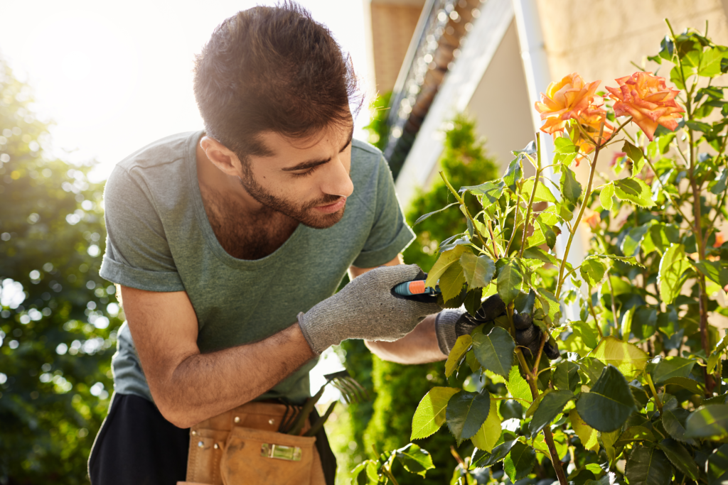 Empresa terceirizada de limpeza, portaria, jardinagem e zeladoria